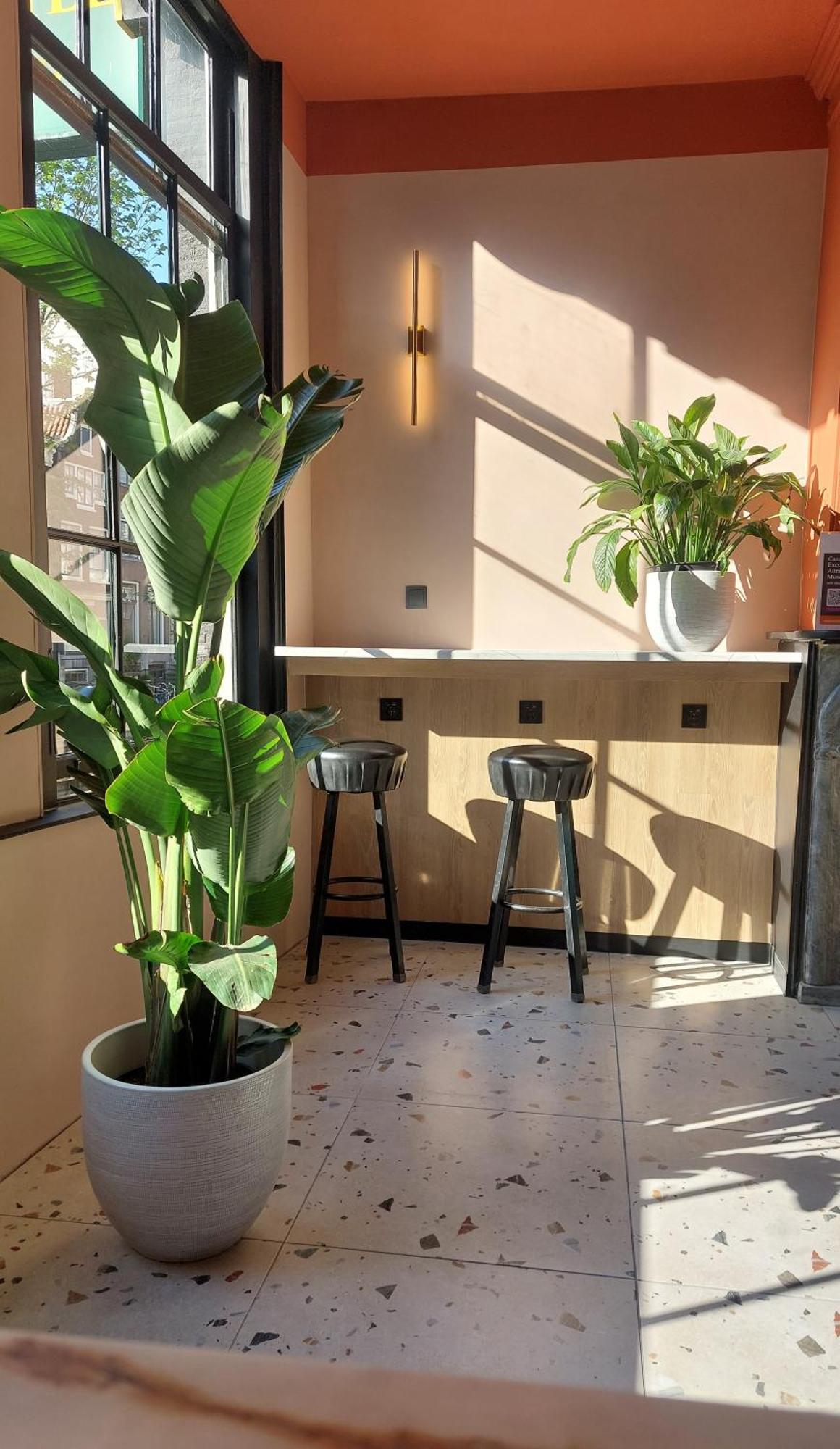 Heart Of Amsterdam Hostel ภายนอก รูปภาพ